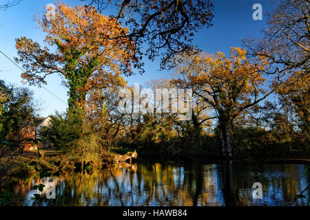 Herefordshire Landschaft wurde von Brian Hatton jetzt erlebt durch die Hatton Wanderweg am Viehtreiber Pool gemalt. Stockfoto