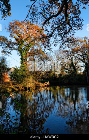 Herefordshire Landschaft wurde von Brian Hatton jetzt erlebt durch die Hatton Wanderweg am Viehtreiber Pool gemalt. Stockfoto