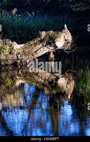 Herefordshire Landschaft wurde von Brian Hatton jetzt erlebt durch die Hatton Wanderweg am Viehtreiber Pool gemalt. Stockfoto