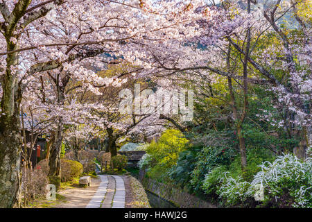 Kyoto, Japan am Philosophenweg im Frühling. Stockfoto