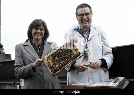 Biene von FM Ilse Aigner präsentiert App Stockfoto