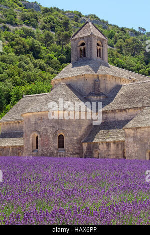 Sénanque Abbey ist ein Zisterzienser-Abtei in der Nähe des Dorfes Gordes im Département Vaucluse in der Provence, Frankreich. Vertikal. Stockfoto