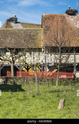 Storchennester auf Fachwerkhäuser Stockfoto