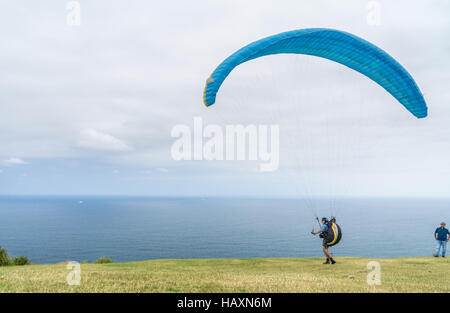 Paragliding am kahlen Hügel Stanwell Tops in New South Wales, Australien Stockfoto