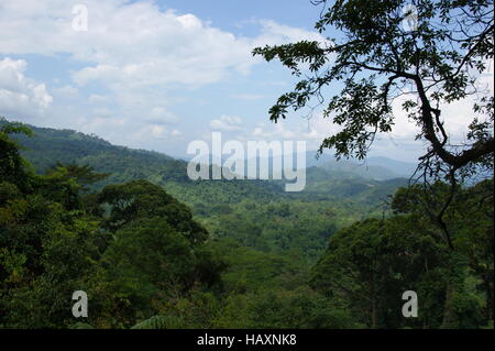 Blick von der Hängebrücke auf Poring Hot Springs, Mount Kinabalu, Borneo, Malaysia. Stockfoto