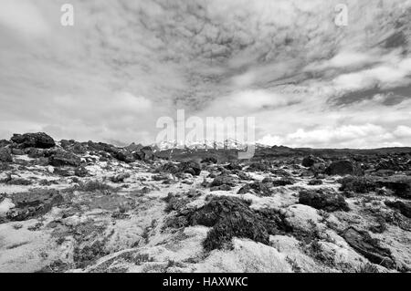 Alpinen Gelände um Tongariro National Park, Nordinsel Neuseeland Stockfoto