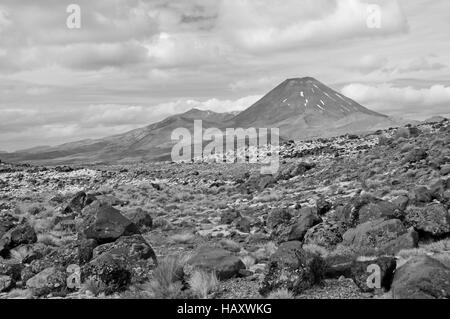 Alpinen Gelände um Tongariro National Park, Nordinsel Neuseeland Stockfoto