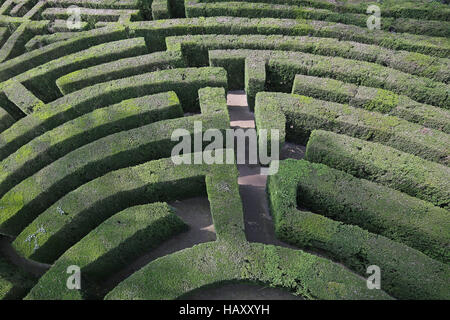 Luftaufnahme von einem komplizierten und komplexen Labyrinth aus Hecken Stockfoto