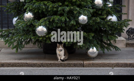 10 Downing Street Weihnachtsbaum und Tür-Dekoration.  Larry Downing Street Katze schützt den Baum Stockfoto