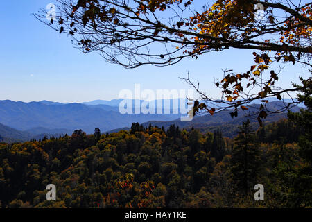 Smoky Mountain National Park, Tennessee mit Herbstfarben und Smoky Mountains Landschaft Stockfoto