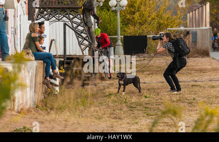 Informelle Familien Fotoshooting bei Sonnenuntergang entlang der Atlanta Gürtellinie walking, trail Radfahren und Joggen in Atlanta, Georgia. (USA) Stockfoto