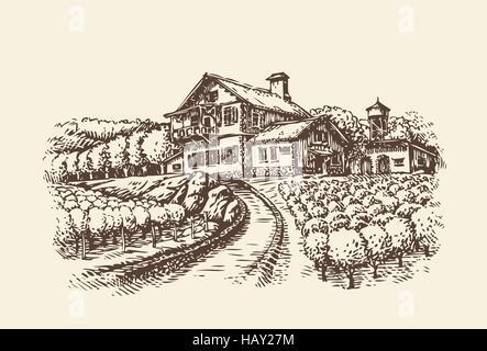 Bauernhof-Landschaft. Handgezeichnete Weinberg oder in der Landwirtschaft. Vintage Skizze-Vektor-illustration Stock Vektor