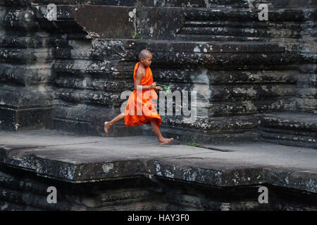 Young-buddhistischer Mönch im Tempel von Angkor Wat in Siem Reap, Kambodscha Stockfoto