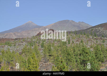 Pico del Teide, Teneriffa Stockfoto