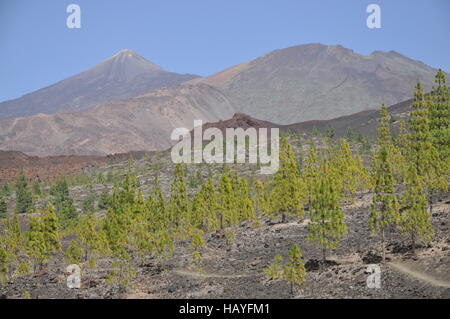 Pico del Teide, Teneriffa Stockfoto