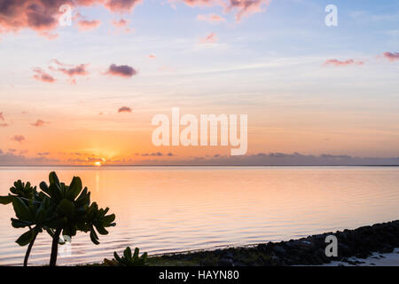 Pointe d ' Esny, Mauritius Stockfoto