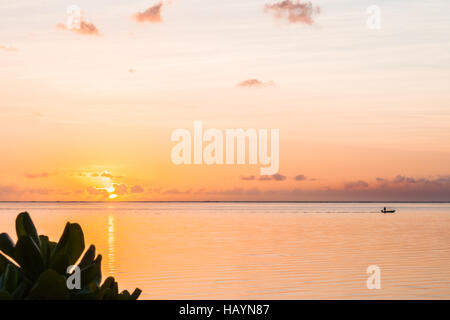 Pointe d ' Esny, Mauritius Stockfoto