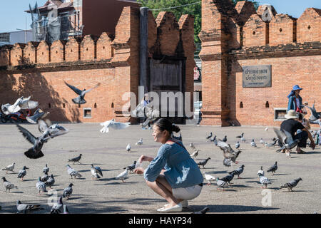 Chinesische Touristen füttern Tauben in Chiang Mai, Thailand, November 2016 Stockfoto