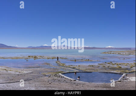 Bolivien, Termas de Polques, Altiplano Stockfoto