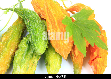 Bittermelone (Momordica Charantia) Stockfoto