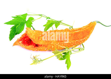 Bittermelone (Momordica Charantia) Stockfoto