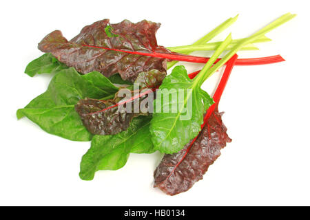 Mangold (Beta Vulgaris Subspecies Vulgaris) Stockfoto