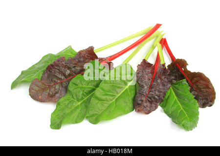 Mangold (Beta Vulgaris Subspecies Vulgaris) Stockfoto