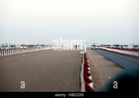 Kamele in der Ferne mit Roboter-Jockeys donnern auf der Rennstrecke, flankiert von SUVs. Eine typische Kamelrennen in Oman Stockfoto