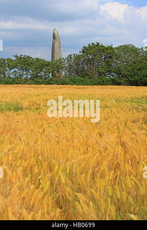 Menhir de Kerloas, Finistere, Frankreich Stockfoto