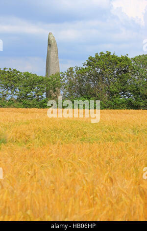 Menhir de Kerloas, Finistere, Frankreich Stockfoto