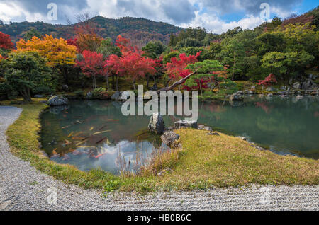 Tenryu-Ji Garten im Herbst, Arashiyama, Kyoto, Japan Stockfoto