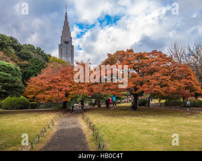 Shinjuku Gyōen Park im Herbst, Tokyo, Japan Stockfoto