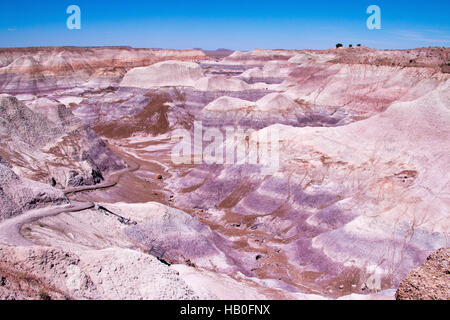 Petrified Forest National Park ist ein Nationalpark in Navajo und Apache County im nordöstlichen Arizona Stockfoto