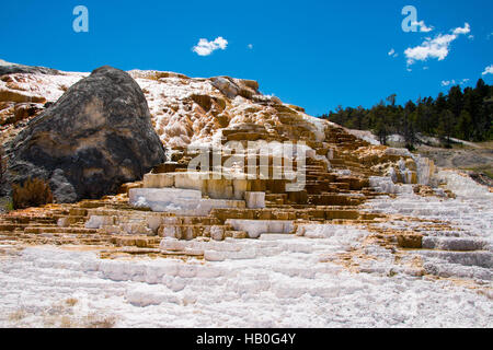 Mammoth Hot Springs ist ein großer Komplex von Hot Springs auf einer Anhöhe von Travertin im Yellowstone National Park Stockfoto