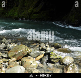 Fels und Wasser gestalten, Quinault River, Olympic Nationalpark, Washington Stockfoto