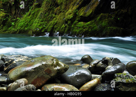 Fels und Wasser gestalten, Quinault River, Olympic Nationalpark, Washington Stockfoto