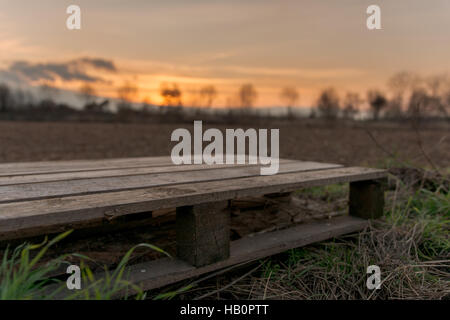 Landwirtschaft - leere Palette vor warmen Sonnenuntergang Stockfoto