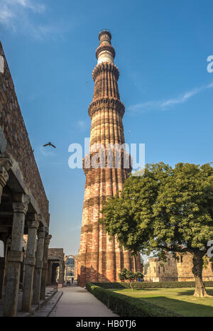 Qutub Minar Turm, Delhi, Indien Stockfoto