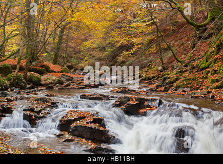 Die Wasserfälle auf der Moness brennen Kaskade von Birks Aberfeldy in Perthsire, Schottland im Herbst. Stockfoto