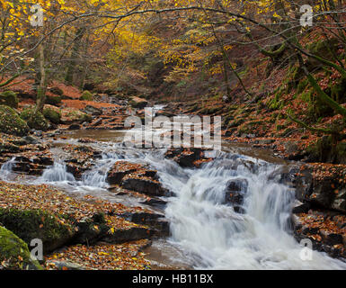 Das Wasser auf die Moness brennen Kaskaden von Birks Aberfeldy in Perthsire, Schottland im Herbst. Stockfoto