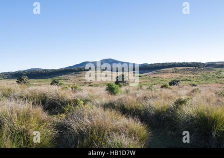 Horton Plains Nationalpark Stockfoto