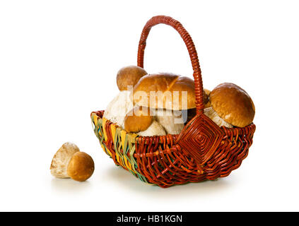 Korb voller Steinpilze isoliert. Stockfoto