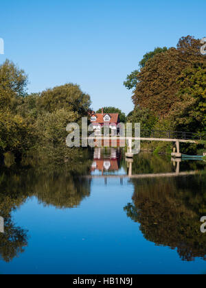 Bäume im Herbst, Themse, Sonning nr Reading, Berkshire, England, UK, GB. Stockfoto