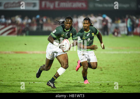 DUBAI, Vereinigte Arabische Emirate, 3. Dezember 2016. Südafrikanischen Spieler in Aktion während der HSBC Rugby Sevens Serie Weltcup-Final match bei der Dubai Rugby Sevens-2016-Turnier. Südafrika schlagen der letztjährigen Gewinner Fidschi um den Titelgewinn 26 bis 14 Credit: Feroz Khan/Alamy Live News Stockfoto