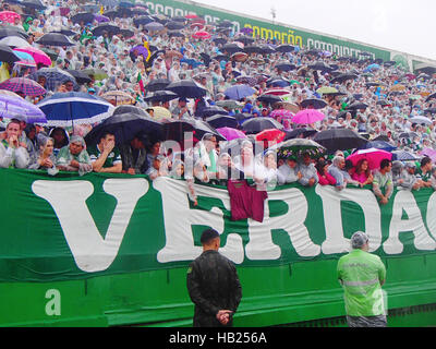 Chapeco, Brasilien. 3. Dezember 2016. Fans der brasilianischen Fußball-Nationalmannschaft Chapecoense trauern auf der Tribüne während eines Gottesdienstes der Trauer für die Fußball-Spieler und Team-Assistenten von der Club, der bei einem Flugzeugabsturz im Soccer Stadium Arena Cona in Chapeco, Brasilien, 3. Dezember 2016 starb. Das Team war nach Medellin in Kolumbien für ein Match gegen Atletico Nacional unterwegs, als ihr Flugzeug abgestürzt ist. 71 Menschen starben, darunter 20 Journalisten. Drei Spieler, zwei Besatzungsmitglieder und ein Journalist überlebt. Foto: Fernando Duclos/Dpa/Alamy Live News Stockfoto