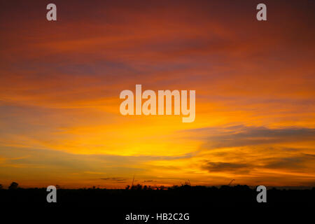 Orange super Sonnenuntergang über Etosha Nationalpark, Namibia, Afrika Stockfoto