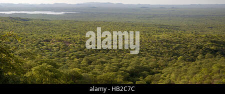 Panorama der Kunene Landschaft mit Wald, Grenze zwischen Angola und Namibia Stockfoto