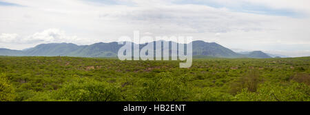 Panorama von den Zebra-Bergen im Norden Namibias, in der Kunene-Region. Stockfoto