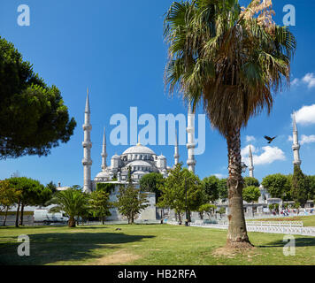 Sultan-Ahmed-Moschee (blaue Moschee), Istanbul Stockfoto