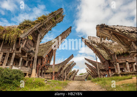 Tongkonan Häuser, traditionelle Toraja Gebäude, Tana Toraja, Sulawesi, Indonesien Stockfoto